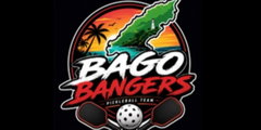 Team Logo