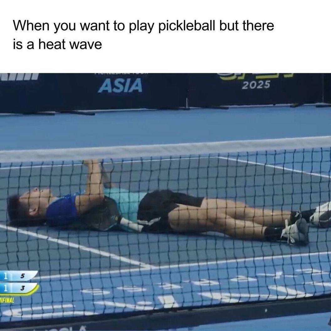 Pickleball meme