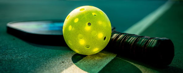 A paddle and pickleball.