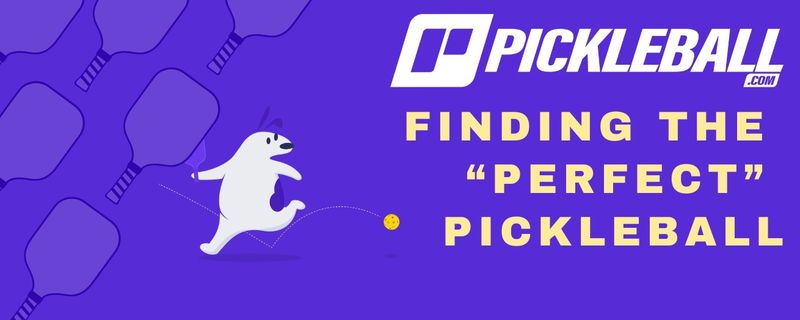 How to Find the PERFECT Pickleball