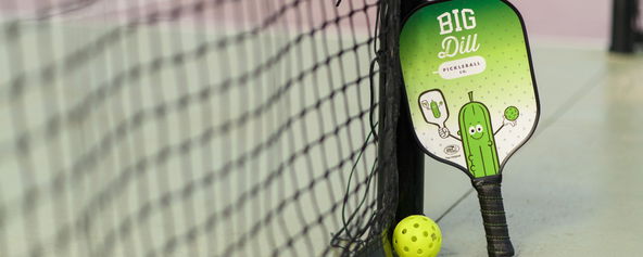 A pickleball paddle and a net.