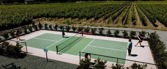 Pickleball court surrounded by a vineyard.