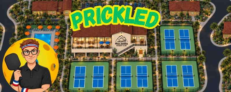 Animation of pickleball sitcom
