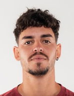 Jaume A Martinez Vich