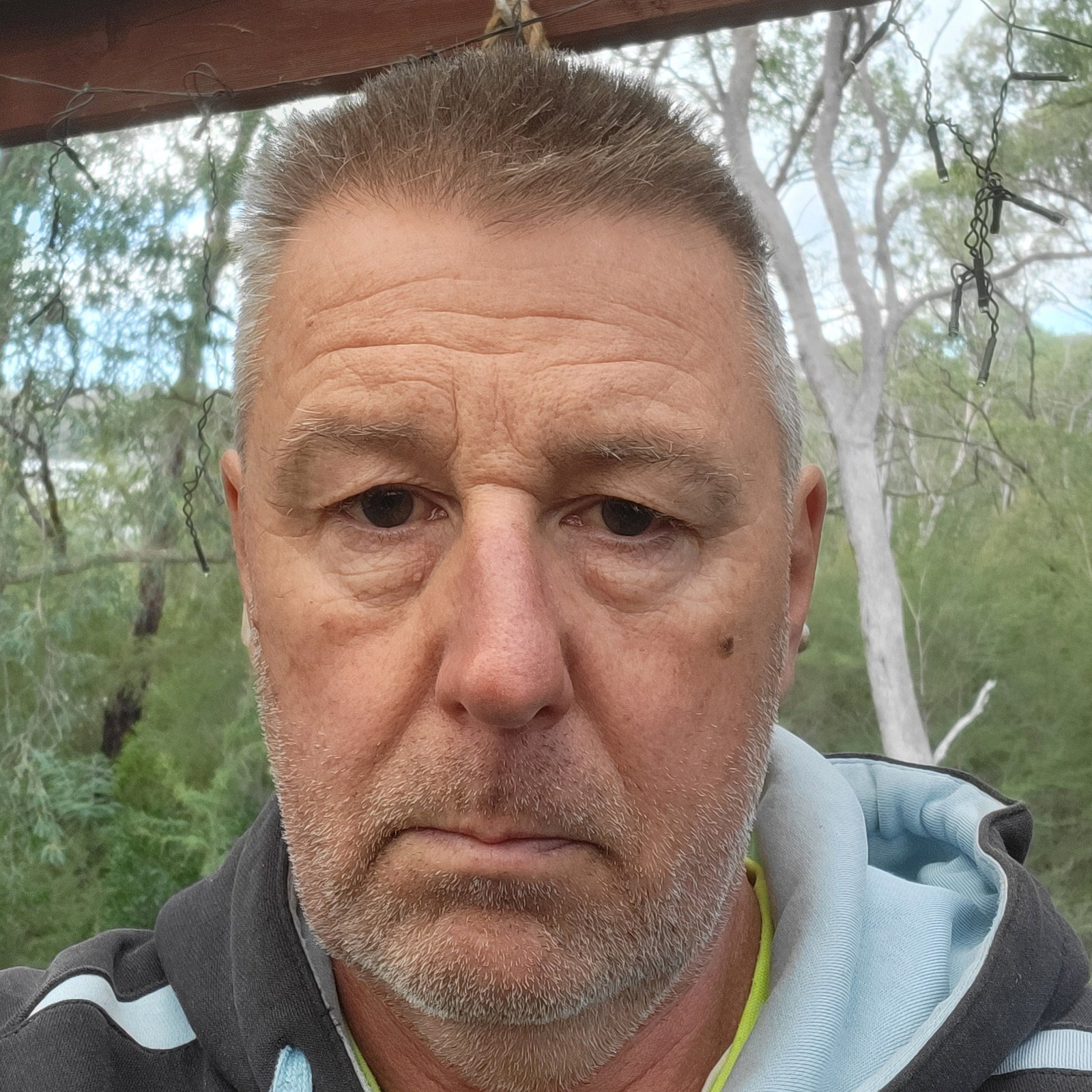 Paul  Traynor 