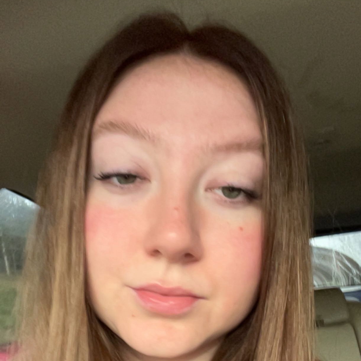Taylor  Collins 