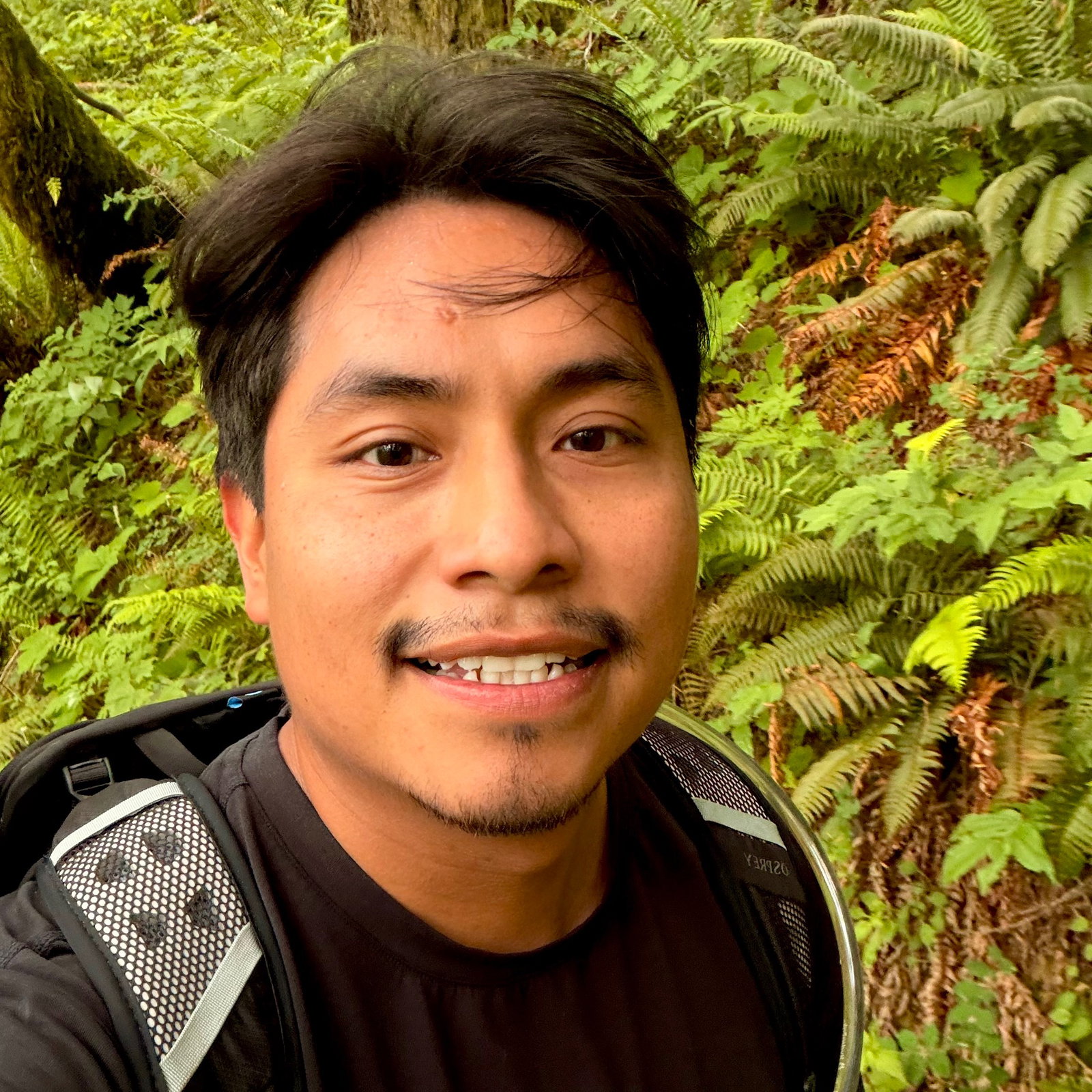 Francisco Javier  Cruz Contreras 