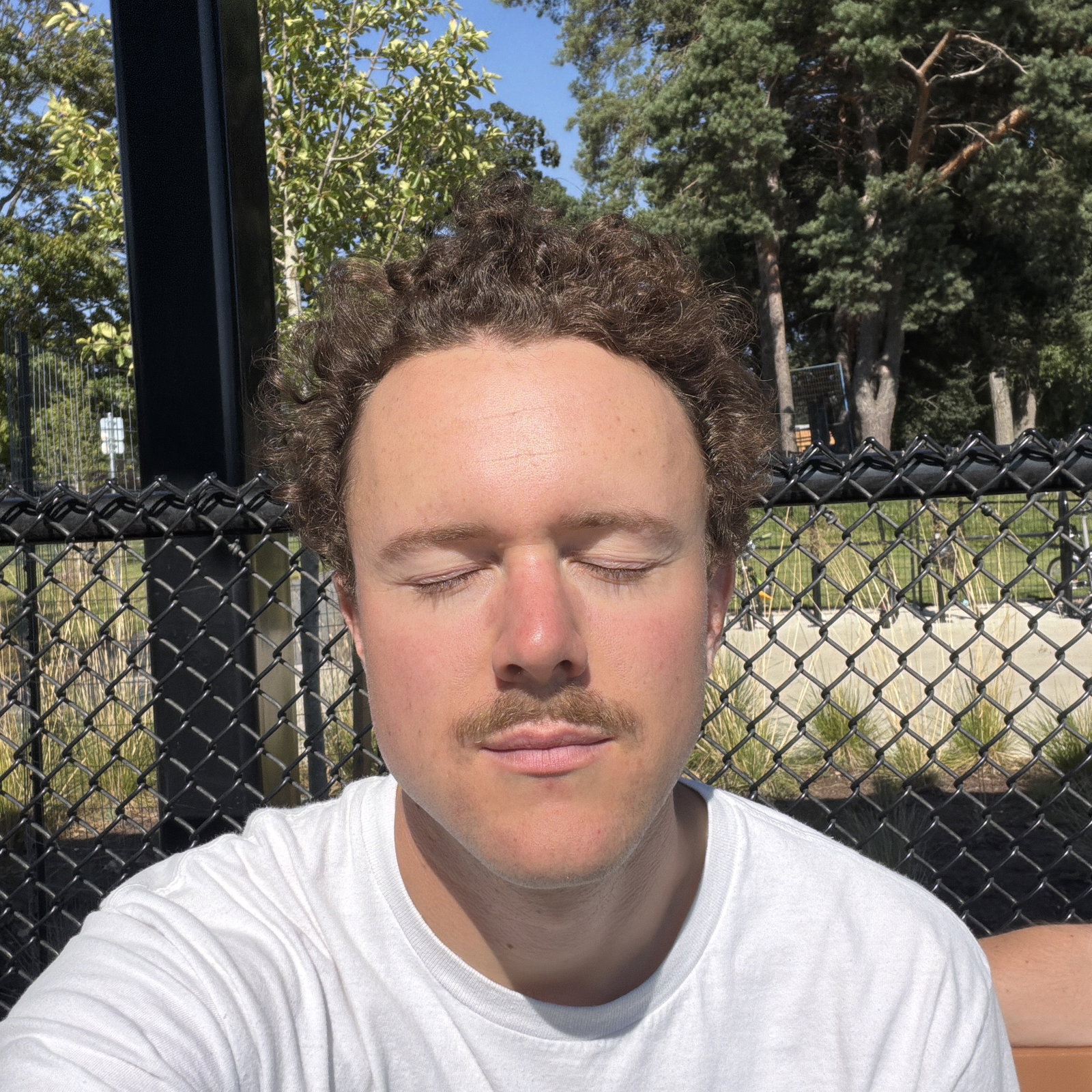 Josh  Franklin 