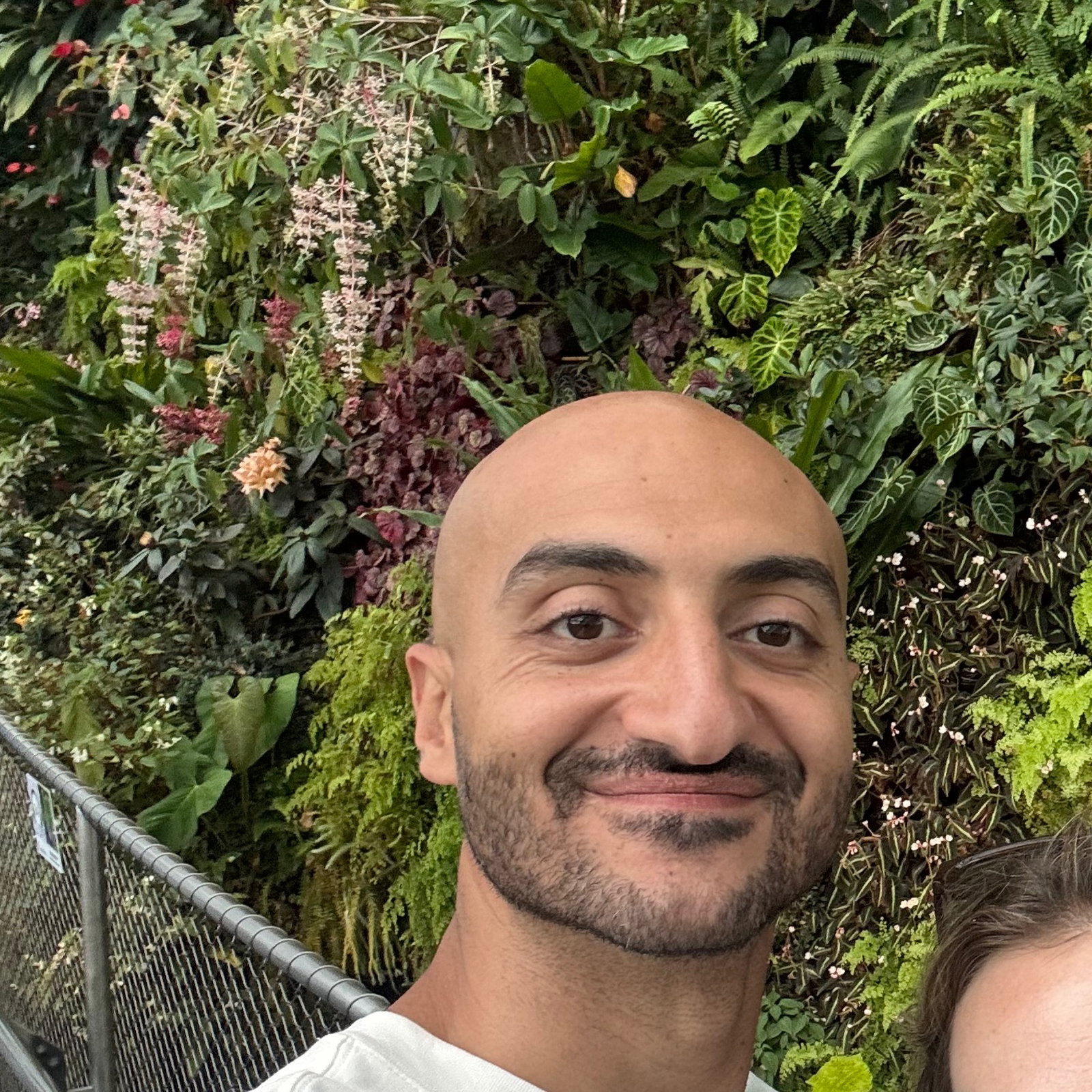 Mo  Mo 